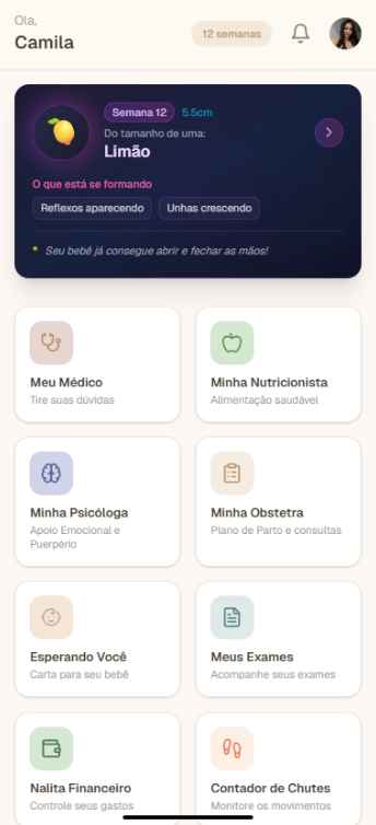 Tela inicial da Nalita